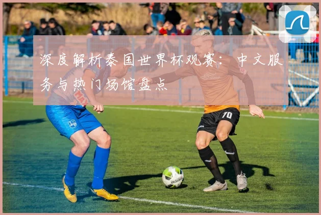 深度解析泰国世界杯观赛：中文服务与热门场馆盘点