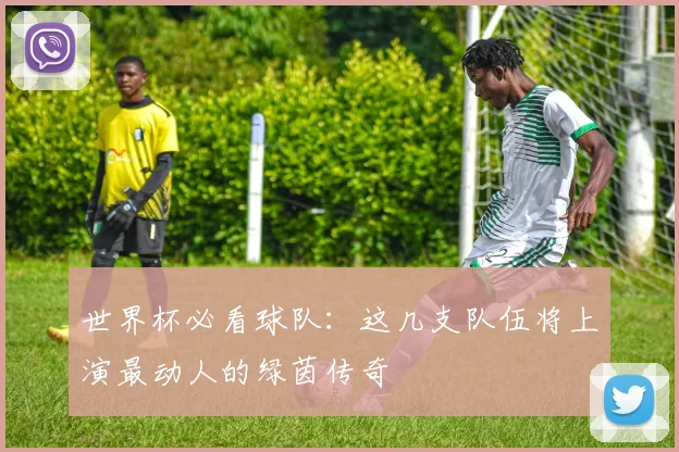 世界杯必看球队：这几支队伍将上演最动人的绿茵传奇