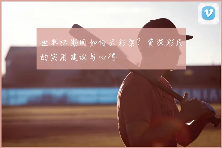 世界杯期间如何买彩票?资深彩民的实用建议与心得