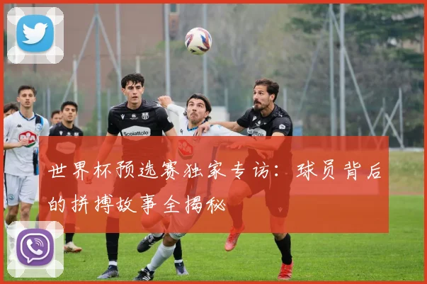世界杯预选赛独家专访:球员背后的拼搏故事全揭秘