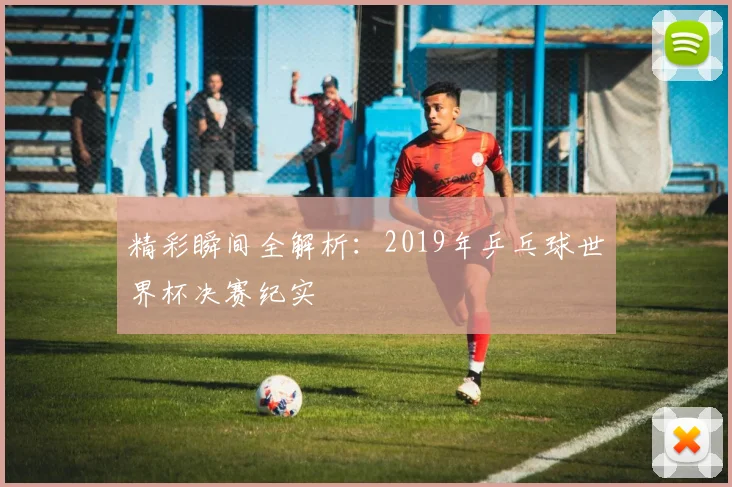精彩瞬间全解析:2019年乒乓球世界杯决赛纪实