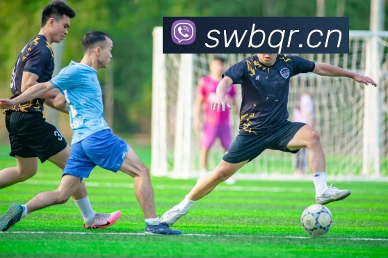 开云官方网页版登录入口平台生态图