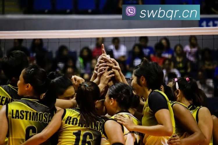 开云官方网页版登录入口APP 封面图